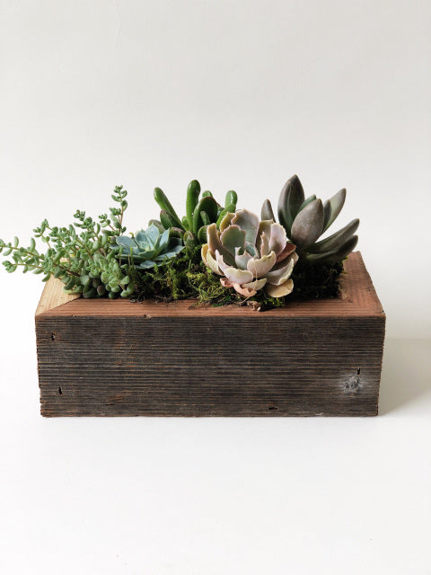 Reclaimed Wood Succulent Planter